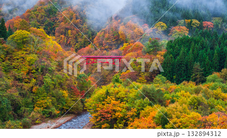 松川渓谷（秋）　高山村 132894312