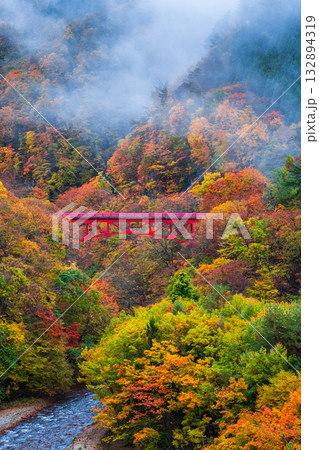 松川渓谷(秋) 高山村 松川渓谷(秋) 高山村 132894319