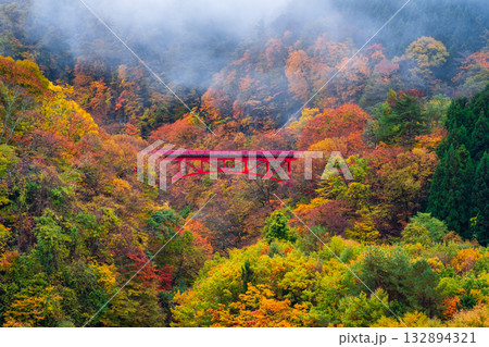 松川渓谷(秋) 高山村 松川渓谷(秋) 高山村 132894321