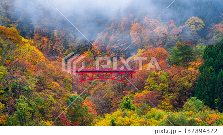 松川渓谷(秋) 高山村 松川渓谷(秋) 高山村 132894322