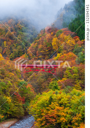 松川渓谷（秋）　高山村 132894341