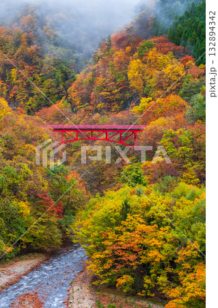 松川渓谷（秋）　高山村 132894342