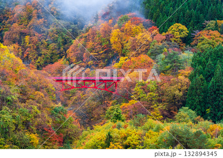 松川渓谷（秋）　高山村 132894345