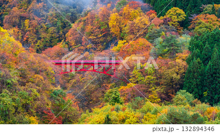 松川渓谷（秋）　高山村 132894346