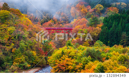 松川渓谷(秋) 高山村 松川渓谷(秋) 高山村 132894349
