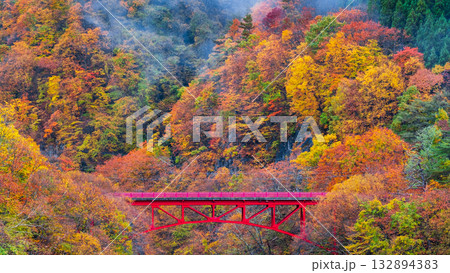 松川渓谷（秋）　高山村 132894383