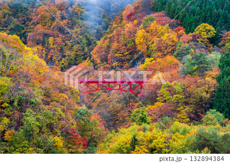 松川渓谷（秋）　高山村 132894384