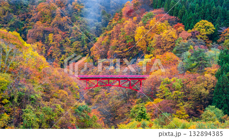 松川渓谷(秋) 高山村 松川渓谷(秋) 高山村 132894385