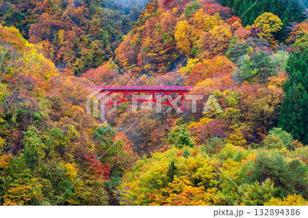 松川渓谷(秋) 高山村 松川渓谷(秋) 高山村 132894386