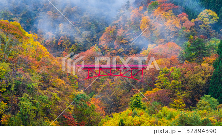 松川渓谷(秋) 高山村 松川渓谷(秋) 高山村 132894390