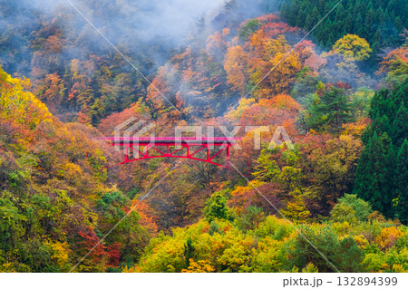 松川渓谷（秋）　高山村 132894399