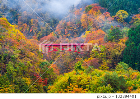 松川渓谷(秋) 高山村 松川渓谷(秋) 高山村 132894401