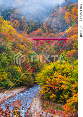 松川渓谷（秋）　高山村 132894403