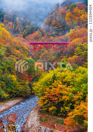 松川渓谷（秋）　高山村 132894404