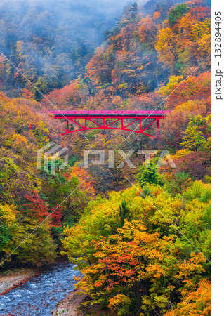 松川渓谷(秋) 高山村 松川渓谷(秋) 高山村 132894405