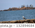 沖に浮かぶ「後が島」を背景に海辺に立つカモメ 132894684