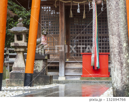 雨に濡れた稲荷神社の参道 雨に濡れた稲荷神社の参道 132894766