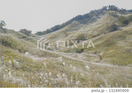 ススキの名所砥峰高原 ススキの名所砥峰高原 132895009