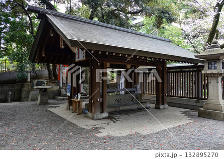 乃木神社　手水舎 132895270