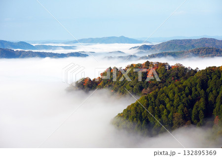 紅葉の天空の山城2471 132895369