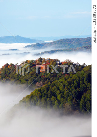 紅葉の天空の山城2485 132895372