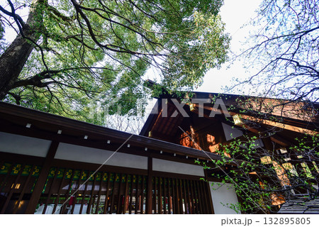 乃木神社 社殿 乃木神社 社殿 132895805
