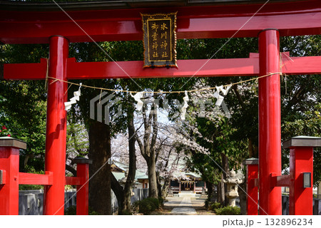上赤塚　氷川神社　両部鳥居 132896234