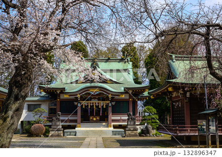 上赤塚　氷川神社　桜 132896347
