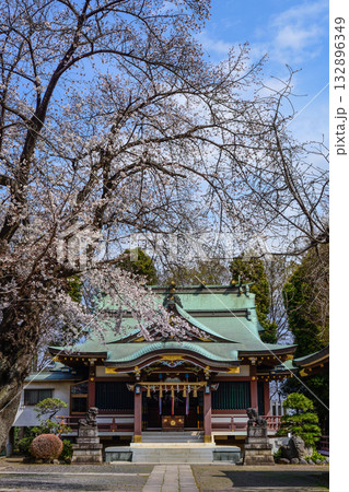 上赤塚　氷川神社　桜 132896349