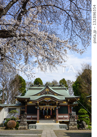 上赤塚　氷川神社　桜 132896354