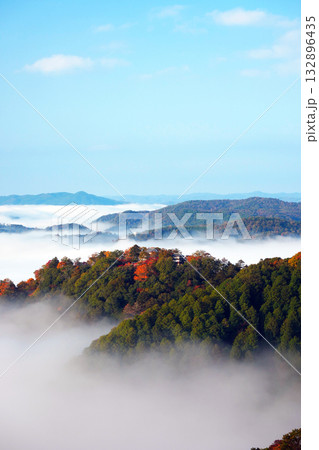 紅葉の天空の山城2436 紅葉の天空の山城2436 132896435