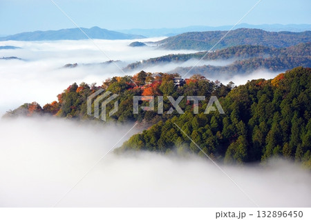 紅葉の天空の山城2526 132896450
