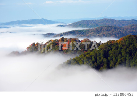 紅葉の天空の山城2553 紅葉の天空の山城2553 132896453
