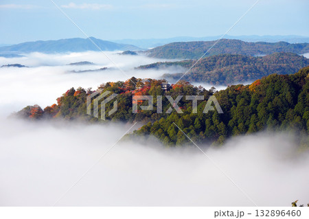 紅葉の天空の山城2590 132896460