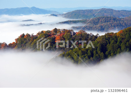 紅葉の天空の山城2596 132896461