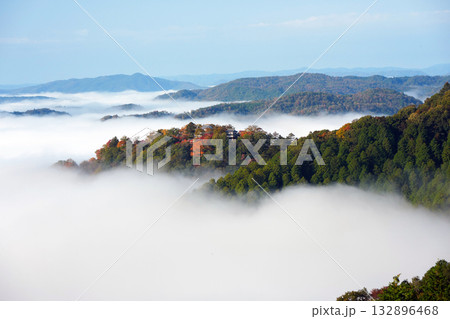 紅葉の天空の山城2627 132896468