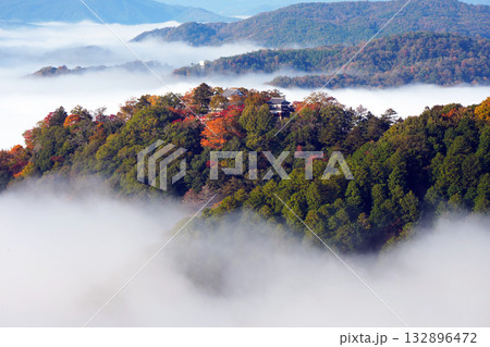 紅葉の天空の山城2648 132896472