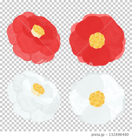 手繪的紅白山茶花圖案 132896480