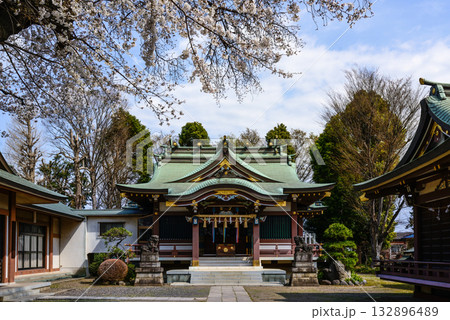 上赤塚　氷川神社　社殿 132896489