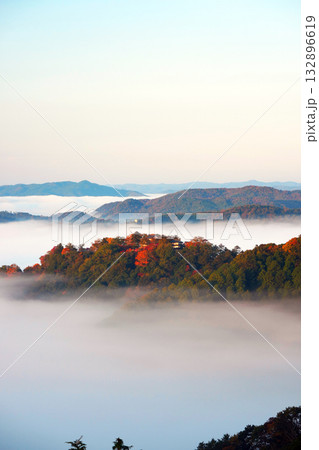 紅葉の天空の山城2362 紅葉の天空の山城2362 132896619
