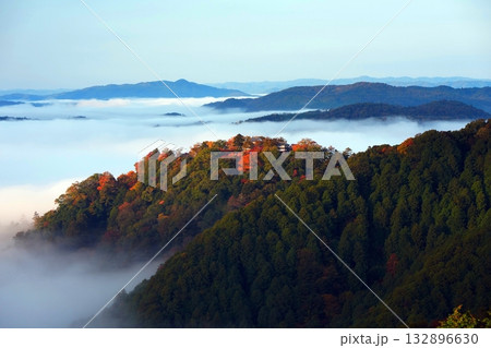 紅葉の天空の山城2406 132896630