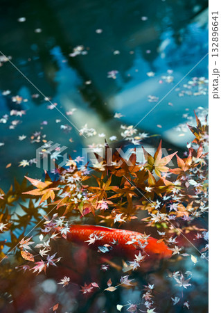 多重露光が彩る秋模様（1） 132896641