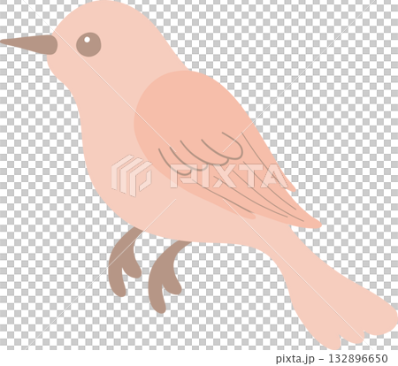 flat feather bird element for wildlife and nature themes 132896650