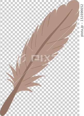 feather for national bird day animal vector flat design 132896652