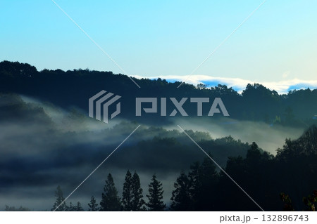 雲海5308 132896743