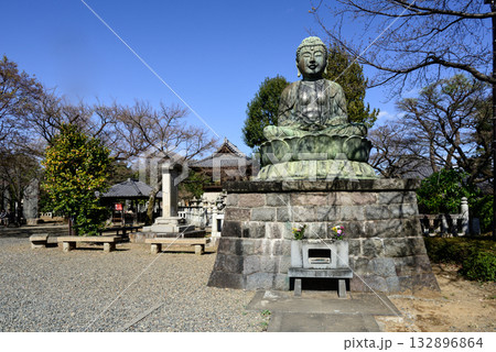 護国寺 大仏 護国寺 大仏 132896864