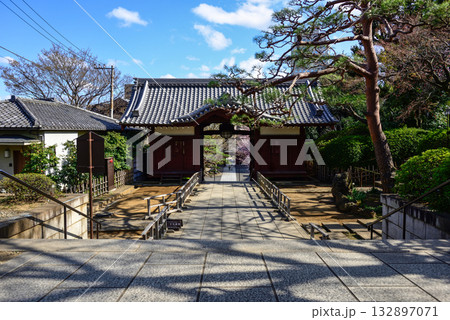 護国寺　不老門 132897071