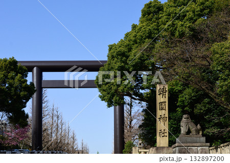 靖国神社　第一鳥居（大鳥居） 132897200