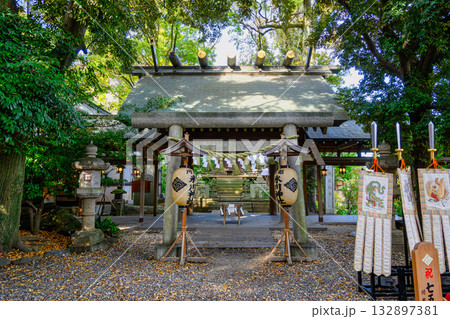川越市 川越氷川神社 本殿 川越市 川越氷川神社 本殿 132897381