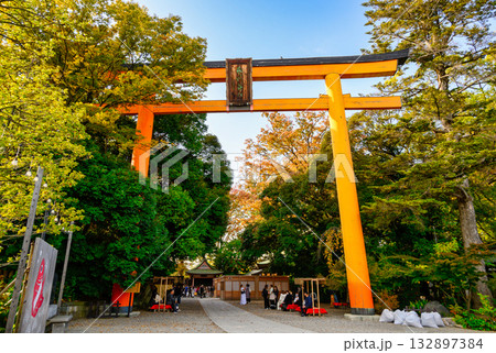 川越市　川越氷川神社　大鳥居 132897384